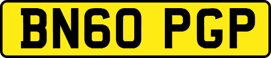 BN60PGP