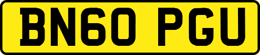 BN60PGU