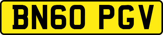 BN60PGV