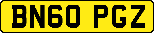 BN60PGZ