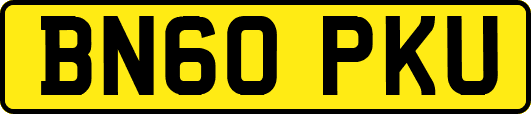 BN60PKU