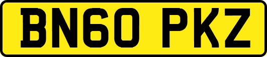 BN60PKZ