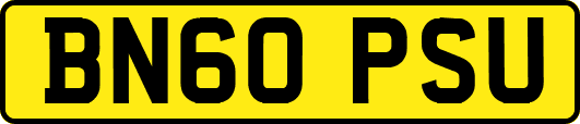BN60PSU