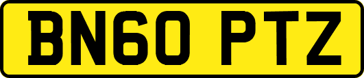 BN60PTZ