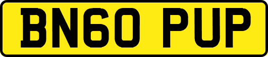 BN60PUP
