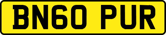 BN60PUR