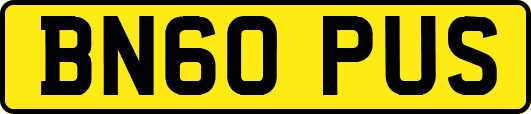 BN60PUS