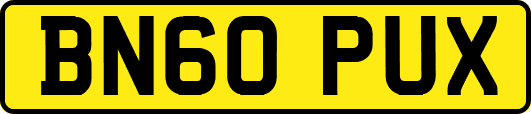 BN60PUX