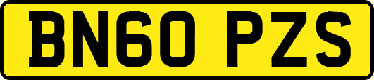 BN60PZS