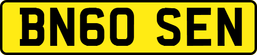 BN60SEN