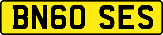 BN60SES