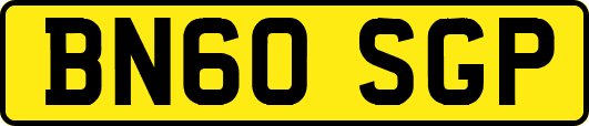BN60SGP
