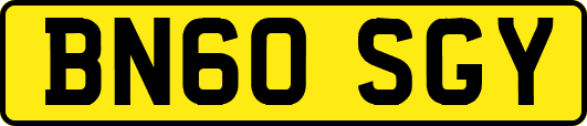 BN60SGY