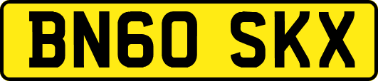 BN60SKX