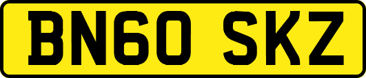 BN60SKZ