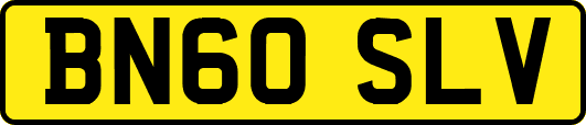 BN60SLV
