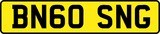 BN60SNG
