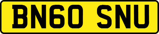 BN60SNU