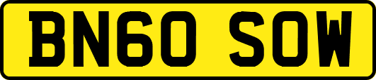 BN60SOW