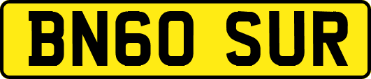 BN60SUR