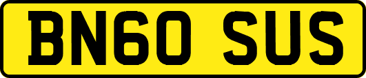 BN60SUS