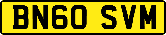 BN60SVM