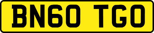 BN60TGO