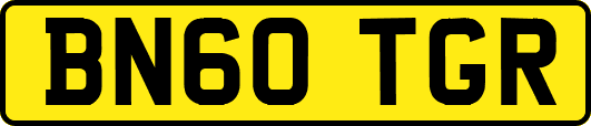 BN60TGR