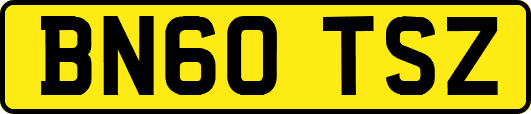 BN60TSZ