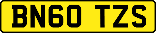 BN60TZS