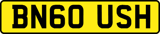 BN60USH