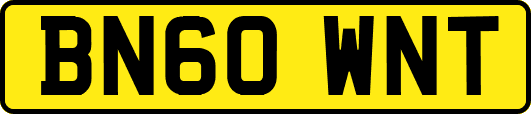 BN60WNT