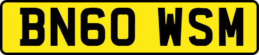 BN60WSM