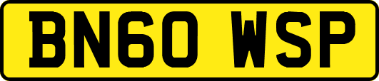 BN60WSP