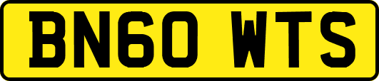 BN60WTS