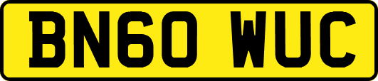 BN60WUC