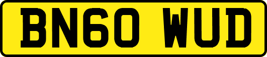 BN60WUD