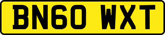 BN60WXT