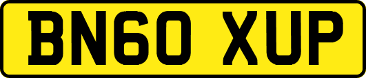 BN60XUP