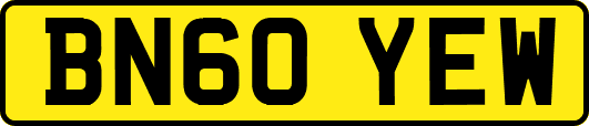 BN60YEW
