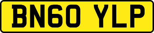 BN60YLP
