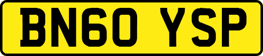BN60YSP
