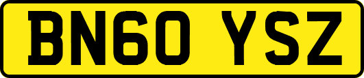 BN60YSZ