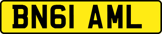 BN61AML