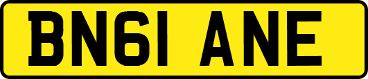 BN61ANE