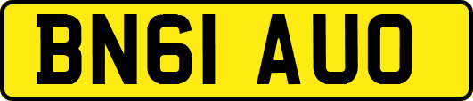 BN61AUO