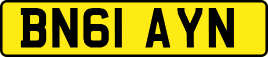 BN61AYN