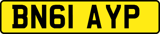 BN61AYP