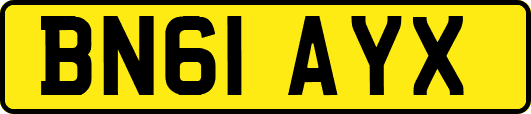 BN61AYX