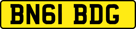 BN61BDG